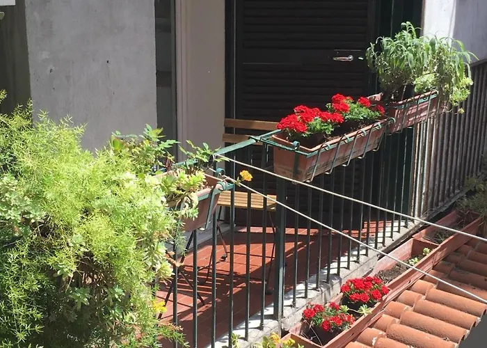 Bella Trastevere